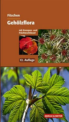 Beispielbild fr Gehlzflora: Ein Buch zum Bestimmen der in Mitteleuropa wild wachsenden und angepflanzten Bume und Strucher. Mit Knospen- und Frchteschlssel zum Verkauf von medimops
