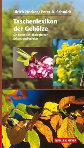 Beispielbild fr Taschenlexikon der Gehlze: Ein botanisch-kologischer Exkursionsbegleiter zum Verkauf von Buchmarie