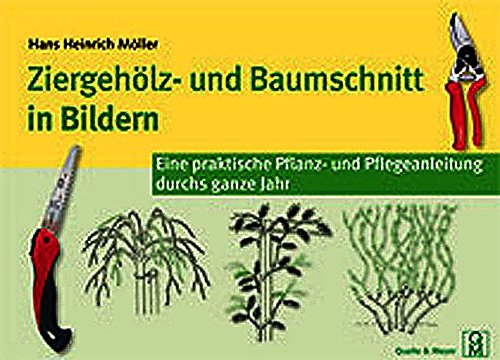 9783494014531: Ziergehlz- und Baumschnitt in Bildern: Eine praktische Pflanz- und Pflegeanleitung durchs ganze Jahr