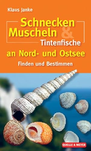 Stock image for Schnecken, Muscheln & Tintenfische an Nord- und Ostsee: Finden und Bestimmen for sale by medimops