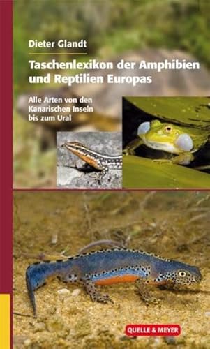 Stock image for Taschenlexikon der Amphibien und Reptilien Europas. Alle Arten von den Kanarischen Inseln bis zum Ural for sale by medimops