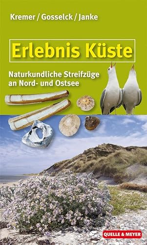 Stock image for Erlebnis Kste: Tier- und pflanzenkundliche Streifzge durch Dne, Watt und Strand for sale by medimops