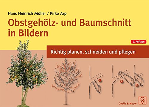 Stock image for Obstgehlz- und Baumschnitt in Bildern: Richtig planen, schneiden und pflegen for sale by medimops