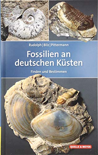 Beispielbild fr Fossilien an deutschen Ksten zum Verkauf von Blackwell's