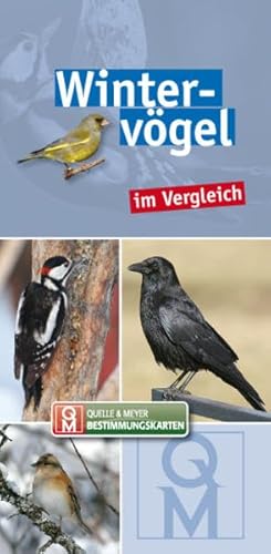 Beispielbild fr Wintervgel im Vergleich zum Verkauf von Blackwell's