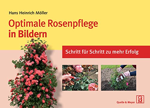 Imagen de archivo de Optimale Rosenpflege in Bildern -Language: german a la venta por GreatBookPrices