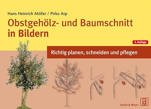 Beispielbild fr Obstgehlz- und Baumschnitt in Bildern: Richtig planen, schneiden und pflegen zum Verkauf von medimops