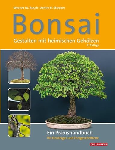 9783494017297: Bonsai - Gestalten mit heimischen Gehlzen: Ein Praxishandbuch fr Einsteiger und Fortgeschrittene