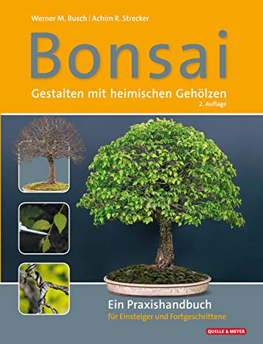 9783494017297: Bonsai - Gestalten mit heimischen Gehlzen: Ein Praxishandbuch fr Einsteiger und Fortgeschrittene
