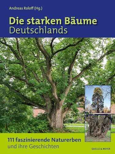 Stock image for Die starken Bume Deutschlands for sale by Blackwell's