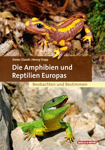 Stock image for Die Amphibien und Reptilien Europas for sale by Blackwell's