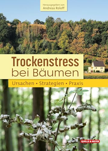 Stock image for Trockenstress bei Bumen: Ursachen, Anpassung und Strategien for sale by medimops