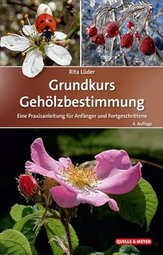 Stock image for Grundkurs Gehlzbestimmung for sale by Blackwell's
