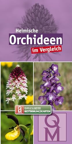 Imagen de archivo de Heimische Orchideen a la venta por GreatBookPrices