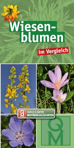 Imagen de archivo de Wiesenblumen a la venta por GreatBookPrices