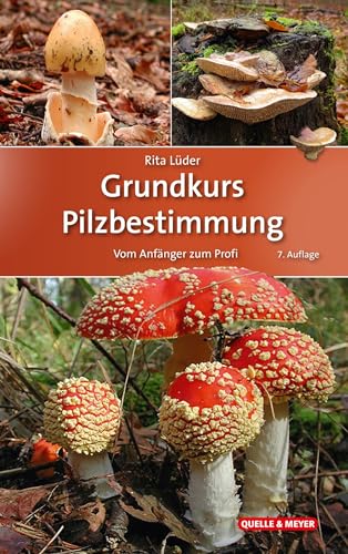 Stock image for Grundkurs Pilzbestimmung for sale by Blackwell's