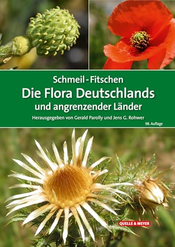 Beispielbild fr SCHMEIL-FITSCHEN Die Flora Deutschlands und angrenzender Lnder zum Verkauf von Blackwell's