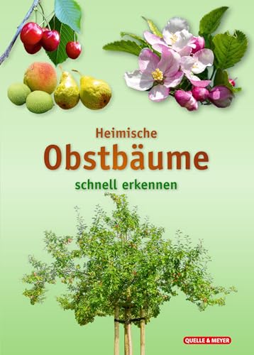 Stock image for Heimische Obstbume for sale by GreatBookPrices