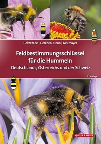 Stock image for Feldbestimmungsschlssel fr die Hummeln Deutschlands, sterreichs und der Schweiz for sale by GreatBookPrices