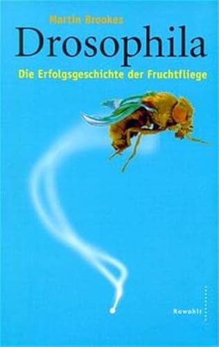 Beispielbild fr Drosophila zum Verkauf von medimops