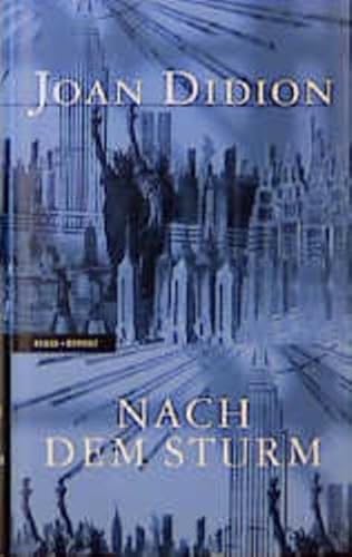 9783498013110: Nach dem Sturm. Roman