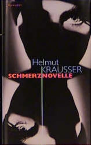 9783498035068: Schmerznovelle (German Edition)