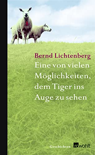Eine von vielen Möglichkeiten, dem Tiger ins Auge zu sehen : Geschichten. - Lichtenberg, Bernd
