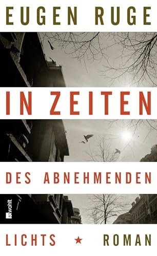 In Zeiten des abnehmenden Lichts: Roman einer Familie