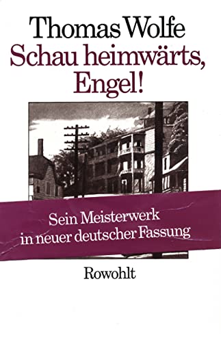 9783498073084: Schau heimwrts, Engel (Neufassung): Eine Geschichte vom begrabenen Leben