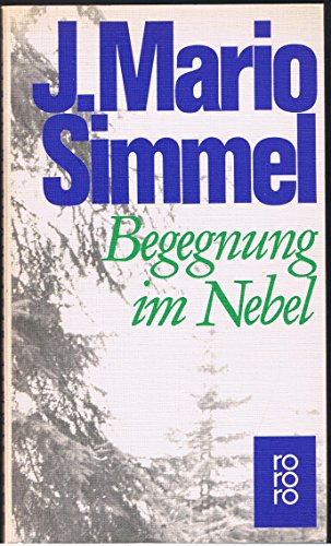 9783499112485: Begegnung im Nebel (German Edition)