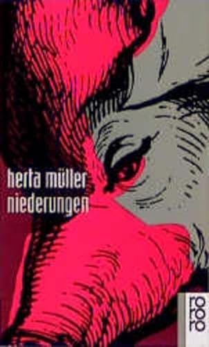 9783499133602: Niederungen. (German Edition)