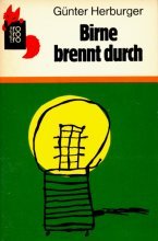 9783499201646: Birne brennt durch