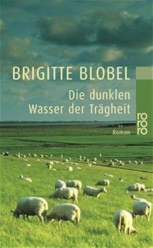 Beispielbild fr Die dunklen Wasser der Trgheit. Roman. TB zum Verkauf von Deichkieker Bcherkiste