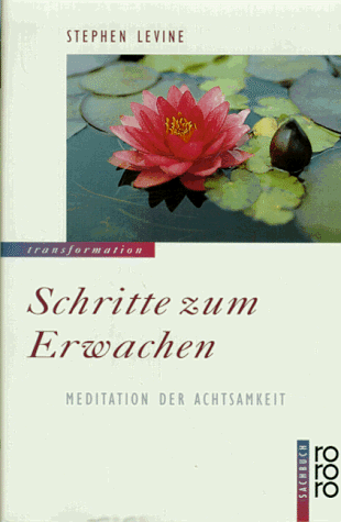 Schritte zum Erwachen: Meditation der Achtsamkeit - Levine, Stephen --- aus d. Amer. v. Matthias Wendt