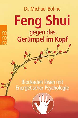 Imagen de archivo de Feng Shui gegen das Germpel im Kopf: Blockaden lsen mit Energetischer Psychologie a la venta por medimops