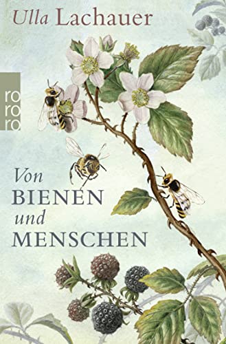 Beispielbild fr Von Bienen und Menschen: Eine Reise durch Europa zum Verkauf von medimops