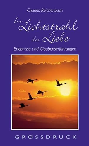 Beispielbild fr Im Lichtstrahl der Liebe. Grodruck: Erlebnisse und Glaubenserfahrungen zum Verkauf von medimops