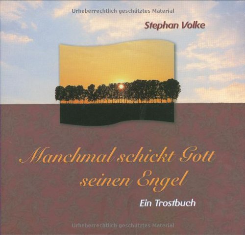 Manchmal schickt Gott seinen Engel : ein Trostbuch. Stephan Volke