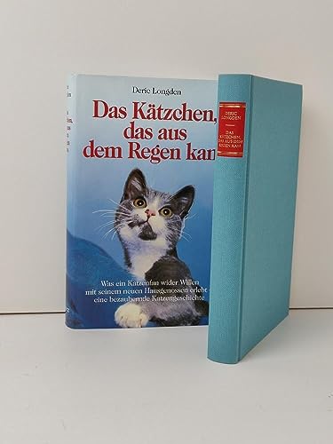 Stock image for Das Ktzchen, das aus dem Regen kam for sale by medimops