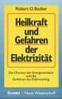 9783502190400: Heilkraft und Gefahren der Elektrizitt. Die Chance der Energiemedizin und die Gefahren des Elektrosmog