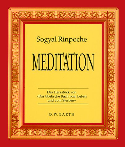 Beispielbild fr Meditation. Sogyal Rinpoche. Hrsg. von Patrick Gaffney und Andrew Harvey zum Verkauf von Hbner Einzelunternehmen