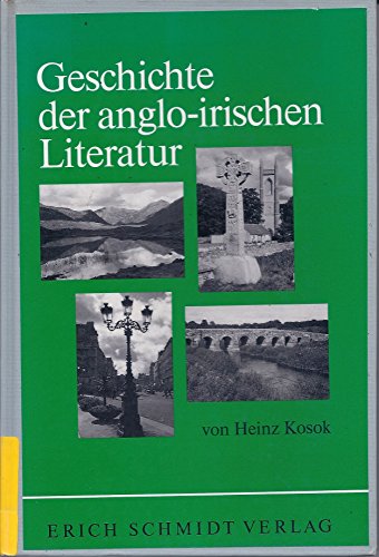 Stock image for Geschichte der anglo-irischen Literatur for sale by medimops