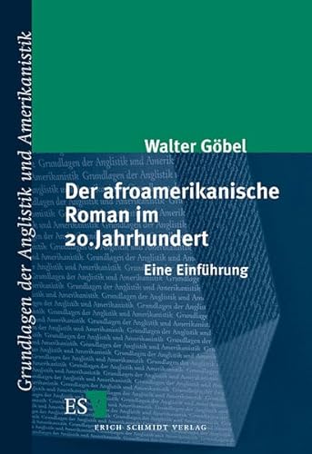 9783503061198: Der afroamerikanische Roman im 20. Jahrhundert: Eine Einfhrung