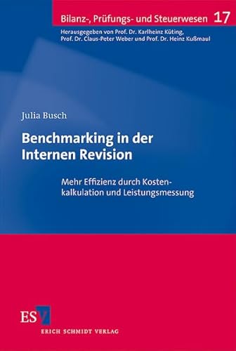 9783503124404: Benchmarking in der Internen Revision: Mehr Effizienz durch Kostenkalkulation und Leistungsmessung