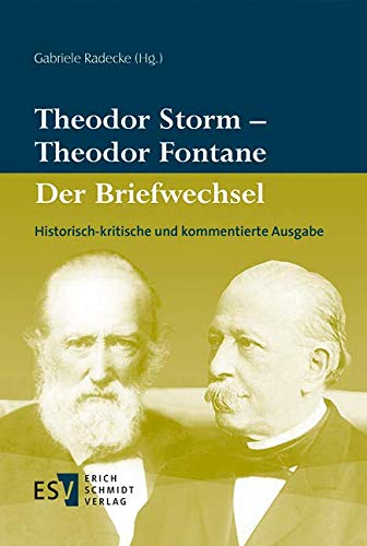 Stock image for Theodor Storm - Theodor Fontane: Der Briefwechsel for sale by Blackwell's