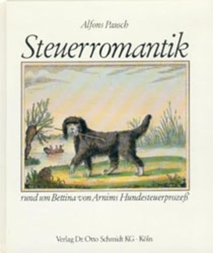 Stock image for Steuerromantik for sale by Antiquariat Walter Nowak