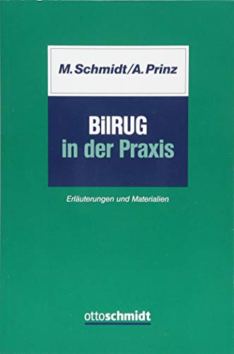 9783504243258: BilRUG in der Praxis: Erluterungen und Materialien