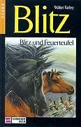 Stock image for Blitz, Bd.9, Blitz und Feuerteufel for sale by medimops