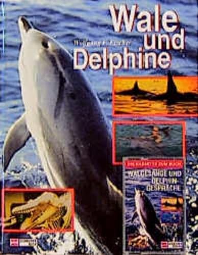 Stock image for Wale und Delphine for sale by Versandantiquariat Kerzemichel