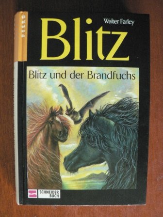 Imagen de archivo de Blitz, Bd.8, Blitz und der Brandfuchs a la venta por medimops